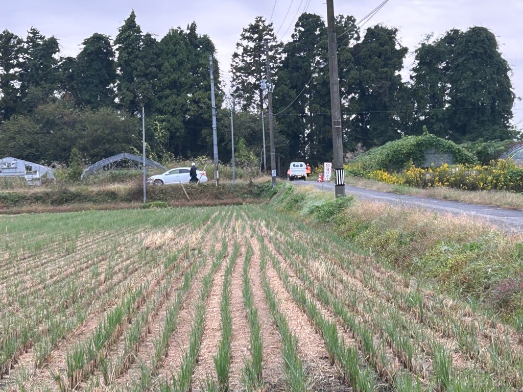 【続報】宮城・色麻町「わなにかかった子グマから離れない親グマ」 親グマを駆除 - khb東日本放送