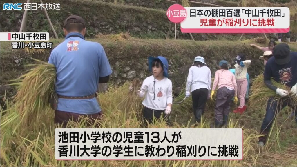 共有