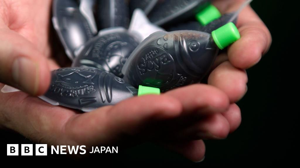 魚型のしょうゆ入れ、豪・南オーストラリア州が禁止　プラスチックごみ対策で - BBCニュース