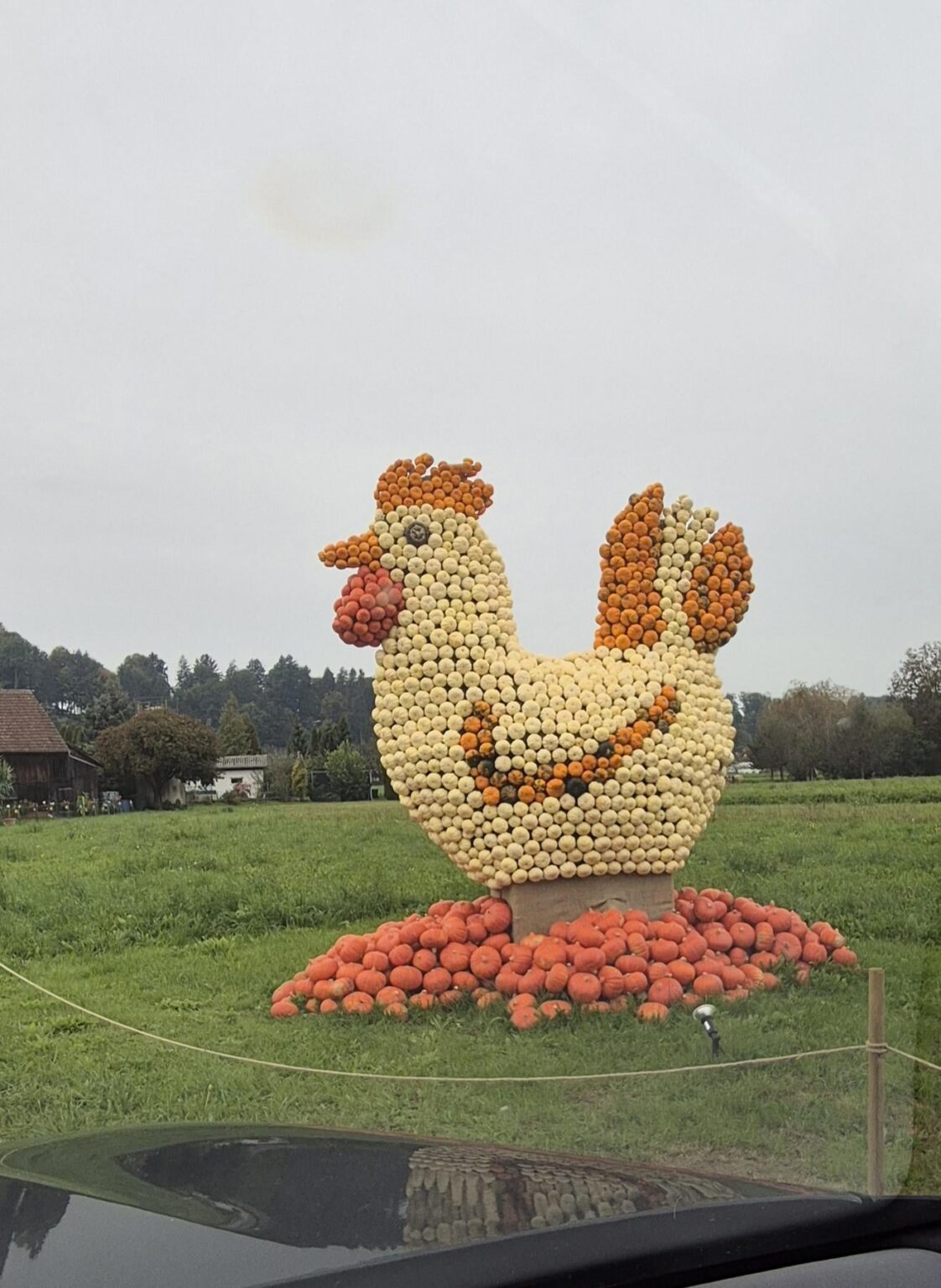 クリエイティブスイスが大好きです