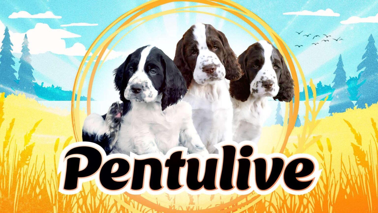 YLEの子犬カメラが戻ってきました