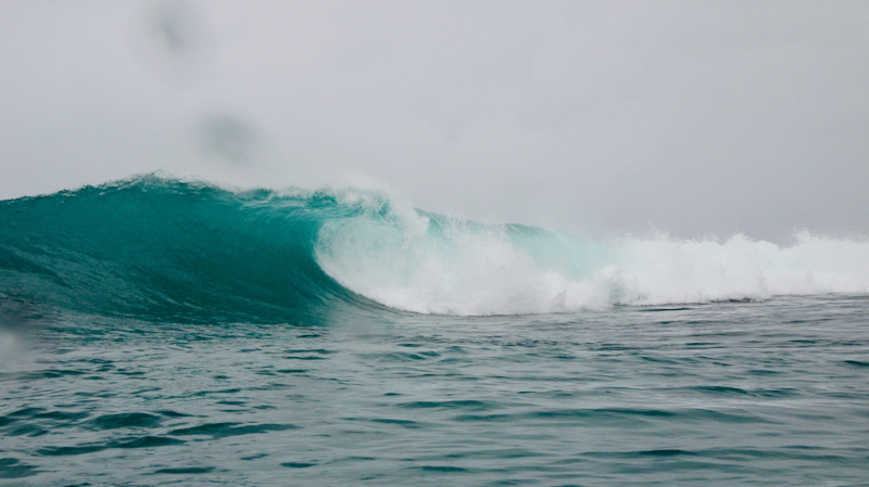 スクリーンショット 2025-10-28 8.17.35