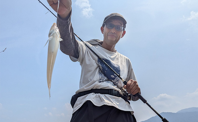 エギングタックルのちょい投げ釣りでシロギス25匹【京都府】潮目狙いで20cm超え良型が連発！
