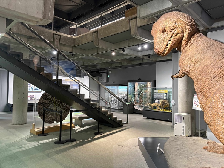 【10/18・19、11/1】静かにしなくても大丈夫！みんなで楽しむ『SAGA GAYA Museum』佐賀県立博物館・美術館で開催！（佐賀市）【イベント】｜福岡・佐賀 週末楽しむニュースマガジン ジモタイムズ・九州朝日放送