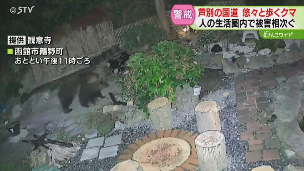札幌テレビ