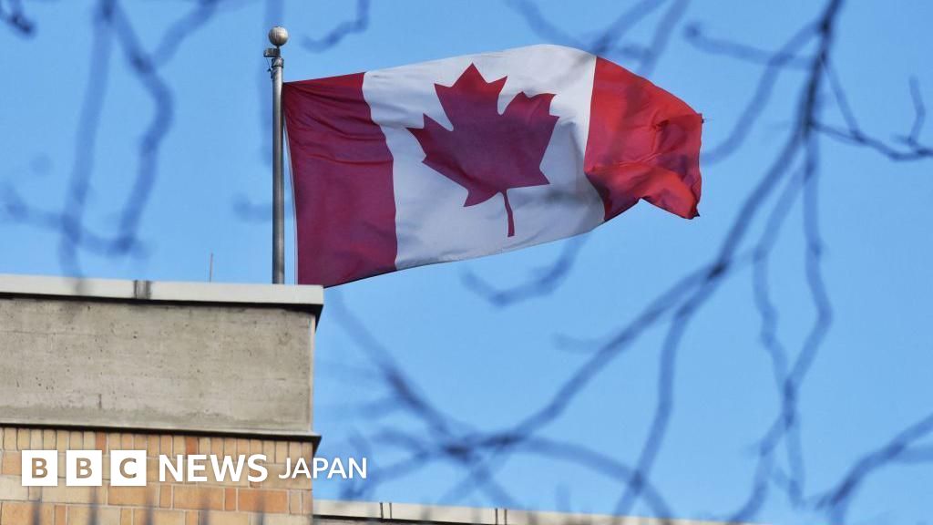 中国がカナダ人4人の死刑執行、カナダ発表　違法薬物犯罪で - BBCニュース