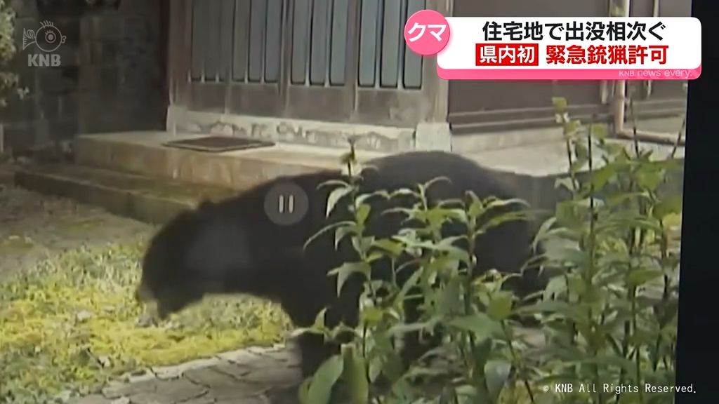 共有