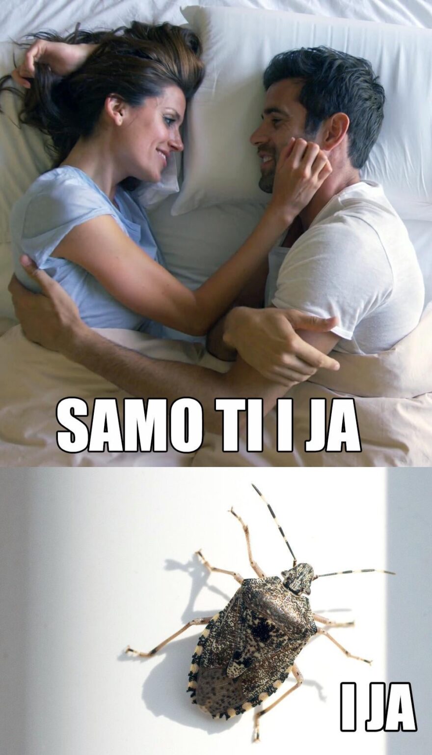 ロマンス...