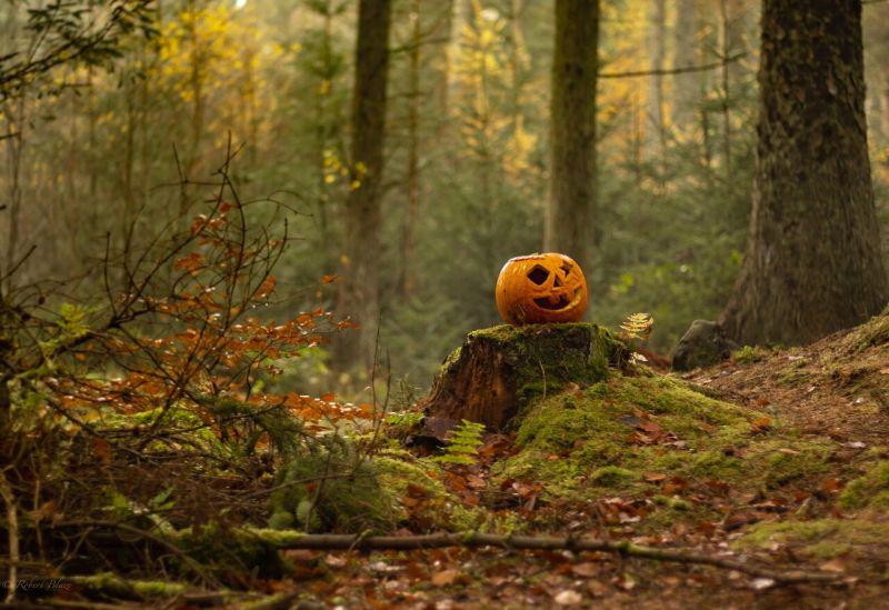 エリン・ペリン市長がハロウィンを禁止
