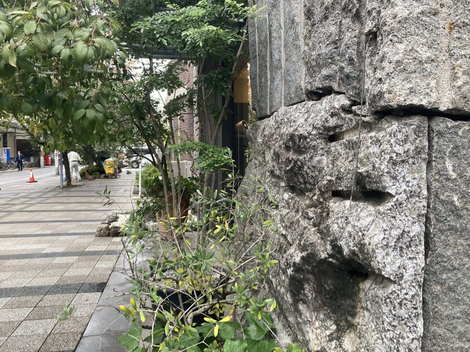 【視察報告】京都市立京都御池中学校・複合施設整備等事業～横浜市の豊岡町複合施設に活かせることはあるのか？～ - 柏原すぐる 公式サイト