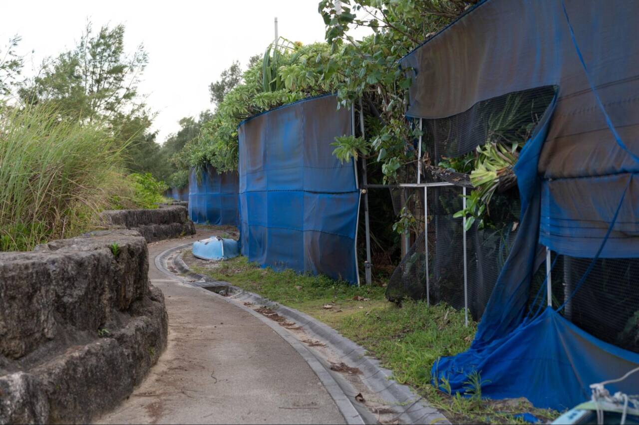 海岸線と集落を隔てるように建てられる防風防砂用のフェンス

