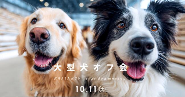 10月11日(土)は愛犬と一緒に！参加無料の＼第2回 大型犬オフ会 in WHATAWON／開催！！｜プレスリリース（愛媛新聞ＯＮＬＩＮＥ）記事詳細｜愛媛新聞ONLINE