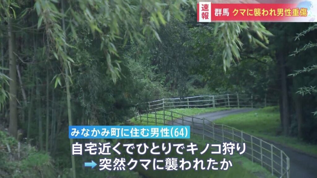 【速馬】群馬・みなかみ町で64歳男性がクマに襲われる 頭やあごなどをひっかかれ重傷 「こんなに間近であれば実感しますね」 自宅近くでキノコ狩り中 | TBS NEWS DIG - TBS NEWS DIG
