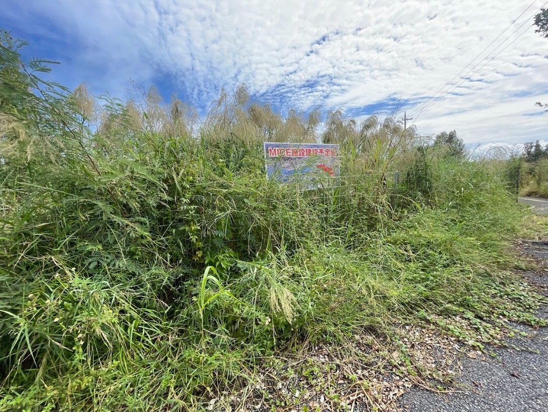 よく見ると、雑草の中に建設予定地の看板がある＝10月23日、沖縄県与那原町
