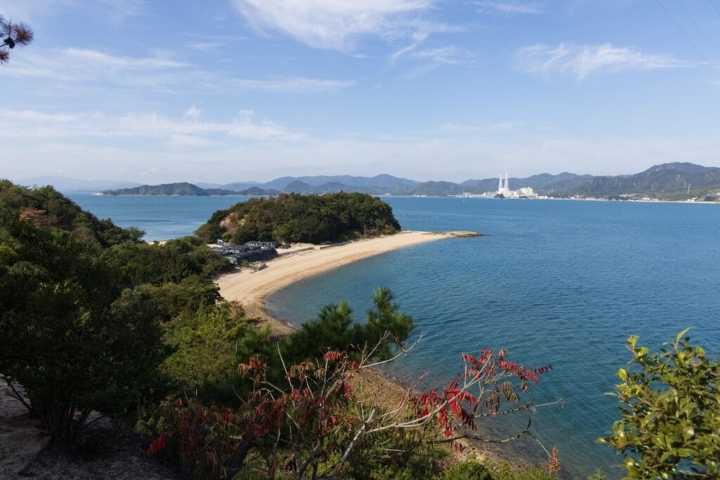 広島県の大久野島で見つけた小さなうさぎを撮影　足元に来た時の「かわいすぎるポーズ」に8.8万いいね | LIMO | くらしとお金の経済メディア