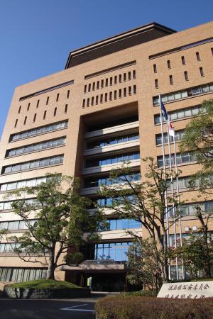 かずら橋の転落死は静岡の７５歳 徳島観光名所にツアー参加 | 全国のニュース | 福井新聞ONLINE