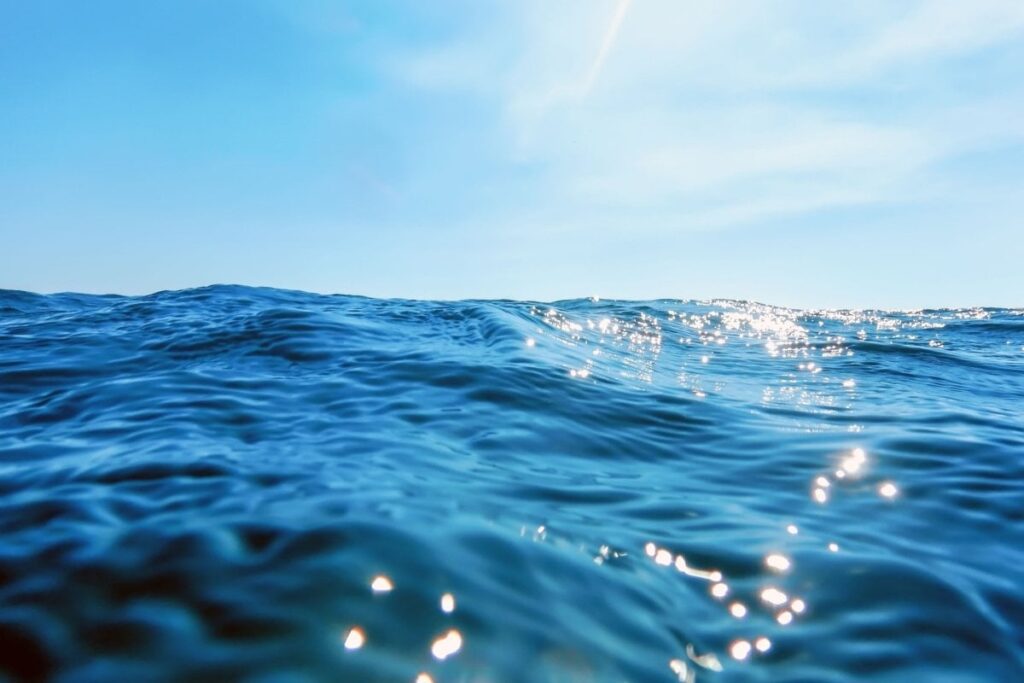 北海道の海岸に残された「奇妙な足跡」を思わず二度見　「謎の正体」をめぐる予想コメントが続出 | LIMO | くらしとお金の経済メディア
