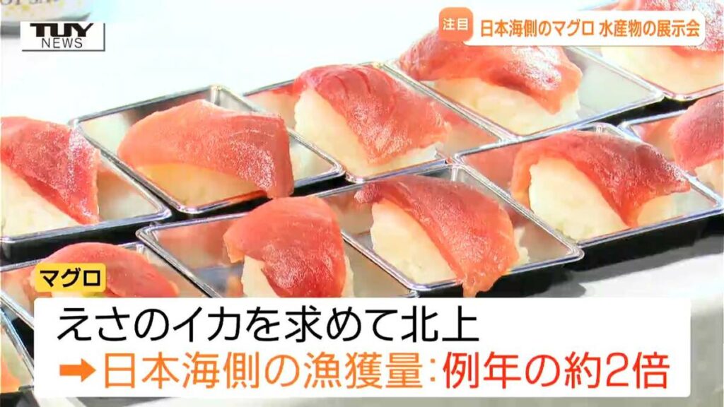 今年の注目は日本海側のマグロ！ 東北や県内中心に全国の水産物など集めた展示会 様々な食のアイデアの出会いの場に！（山形市） | 山形のニュースTUYテレビユー山形 - TBS NEWS DIG