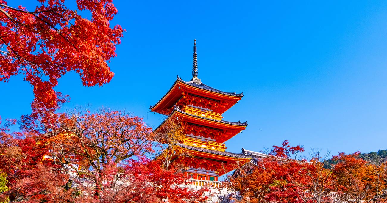 日本人の「京都離れ」紅葉シーズンに加速か？外国人のオーバーツーリズムを解決に導く2つの提案