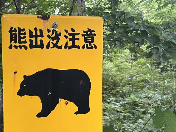 住民がクマを“ストックで退散”も 宮城県内でクマ目撃相次ぐ 栗原市では行方不明女性の捜索続く｜FNNプライムオンライン - FNNプライムオンライン
