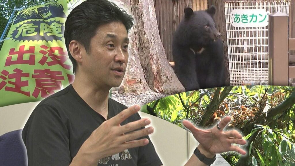 「里への執着や人を恐れない若い個体を中心に増えているのでは」 岩手県内で相次ぐクマの人身被害 要因と対策を専門家に聞く | TBS NEWS DIG (3ページ) - TBS NEWS DIG