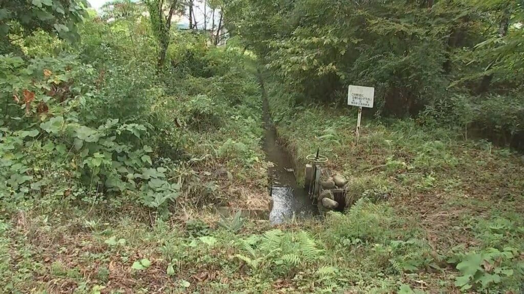 クマに襲われたか 岩手県雫石町の林から男性の遺体発見 キノコ採りに出かけたまま帰宅せず捜索中 | TBS NEWS DIG - TBS NEWS DIG