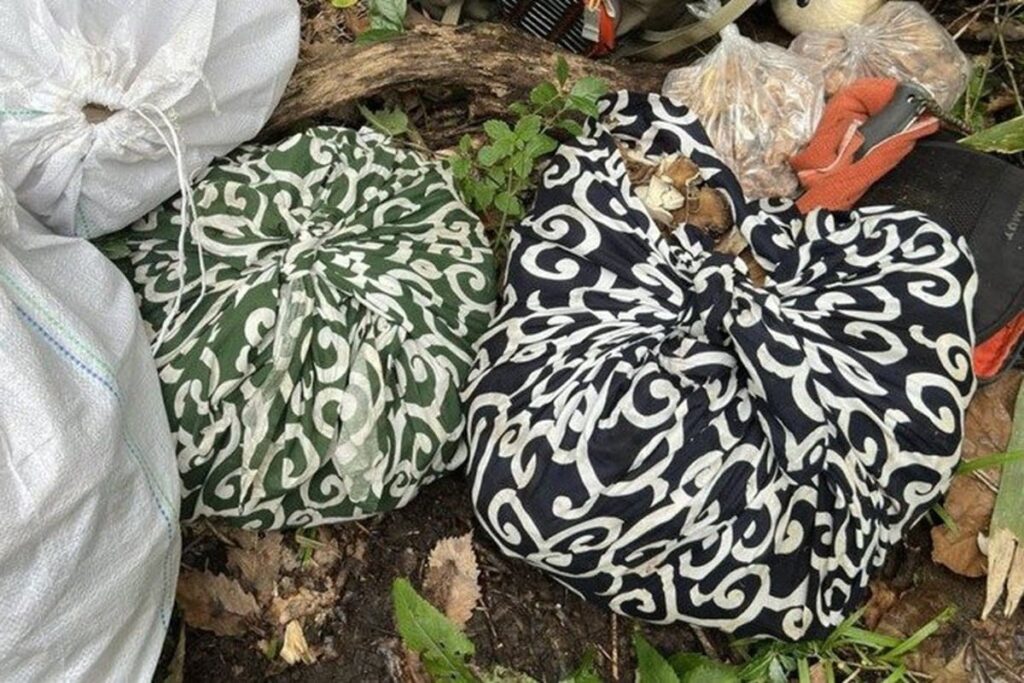 青森県・八甲田で発見した「えげつない量」の山の恵み　15キロ以上の物体に思わず目を疑う | LIMO | くらしとお金の経済メディア