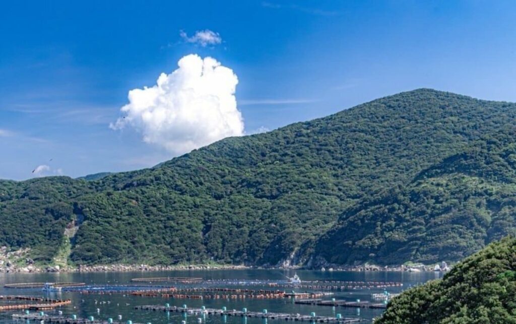高知県で撮影された「美しすぎる海」に目を奪われてしまう　綺麗なグラデーションに「ずっと見ていられる」 | LIMO | くらしとお金の経済メディア