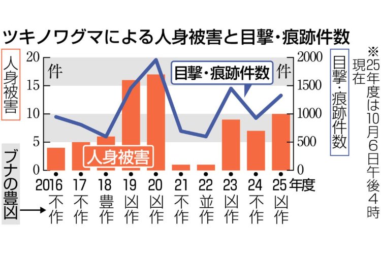 新潟県が警戒最高レベル「クマ出没特別警報」2023年10月以来 今年の人身被害10件、過去最多更新の可能性も - 新潟日報デジタルプラス
