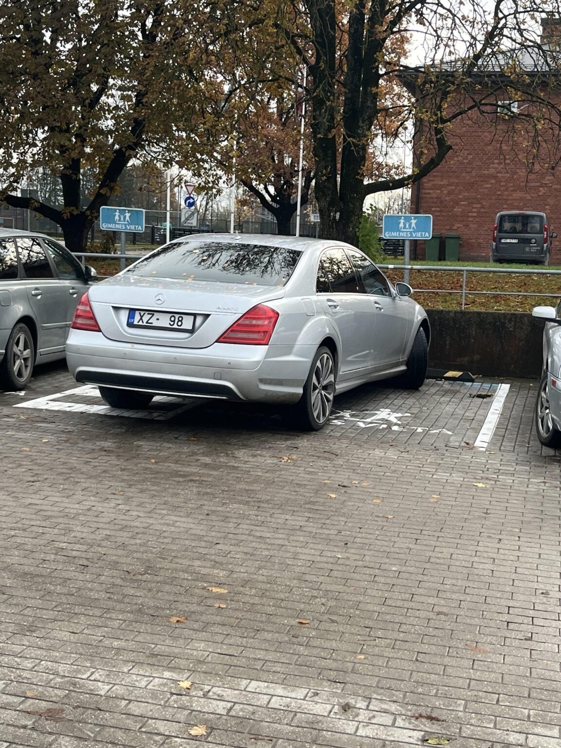 駐車場におけるクレチン症
