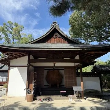 大人の遠足 in 奈良【茶寮 世世ランチからの東大寺・二月堂・奈良公園散策】奈良満喫プラン