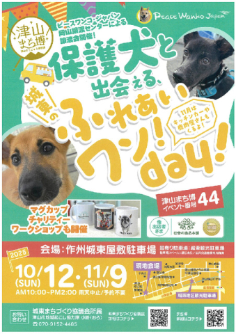 保護犬と出会える 城東のふれあいワン！day！（10月）