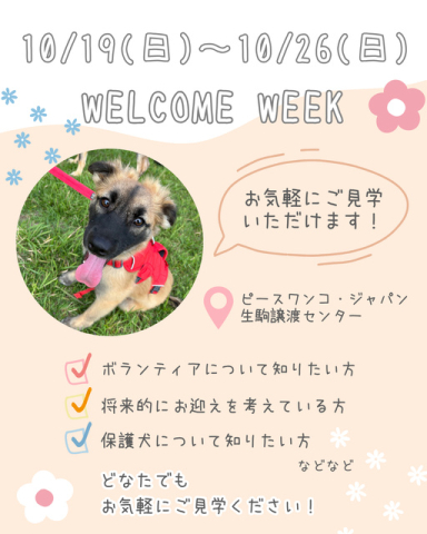 WELCOME WEEK(生駒譲渡センター)