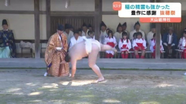 大山祇神社で600年以上の伝統持つ抜穂祭 秋の豊作に感謝し稲の精霊相手に一人角力も奉納【愛媛･今治市】