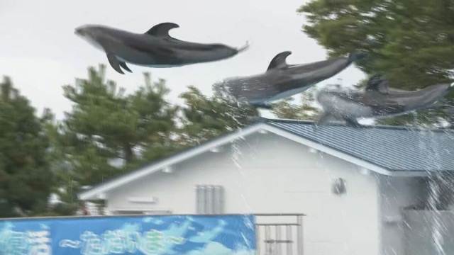 ３連休最終日 のとじま水族館にぎわう