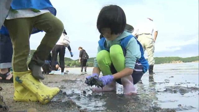 海の命にとって大切な藻場の状態を調べて実感　環境保全について学ぶ「TOYOTA SOCIAL FES !!」【岡山】