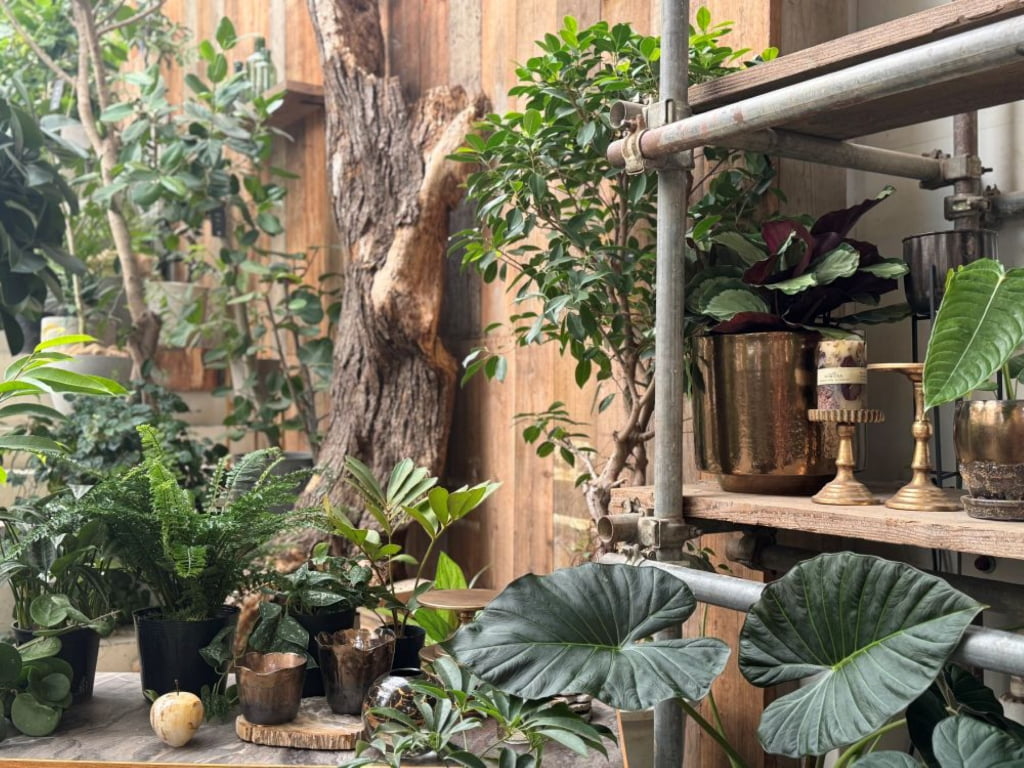 【大阪・梅田】洗練されたグリーン＆インテリアにときめく♡ ＫＩＴＴＥ大阪に進化系園芸店「garage OSAKA」がオープン