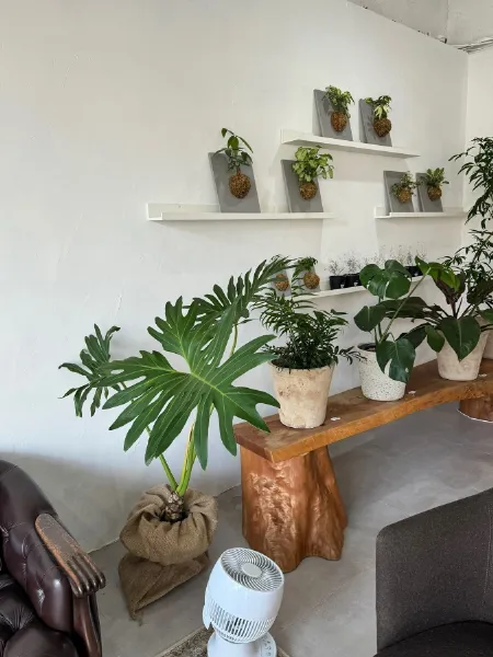 広島市内にある、カフェ併設のプラントショップ「ba×tsu（バツ）」の店内