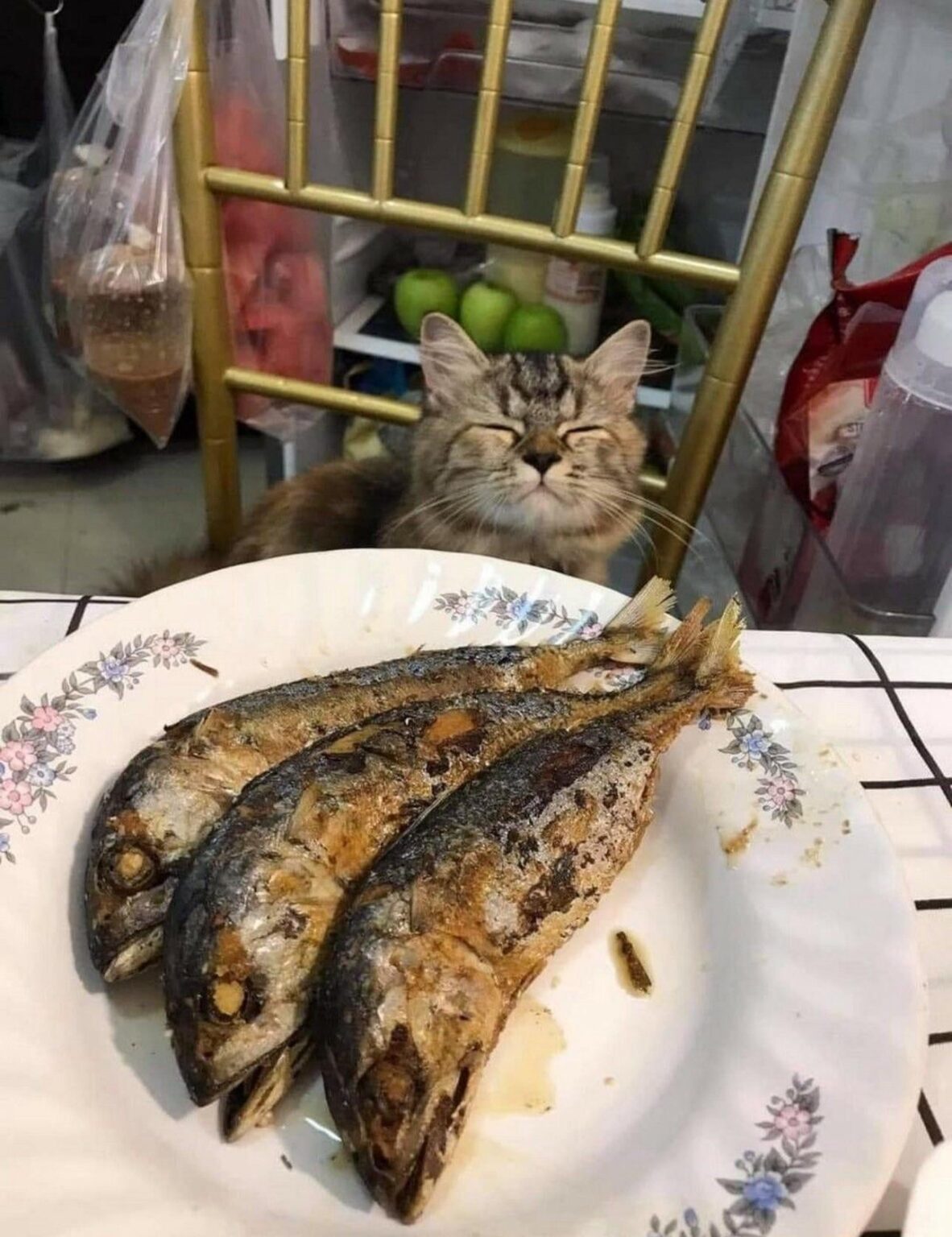 にゃーんちゃん