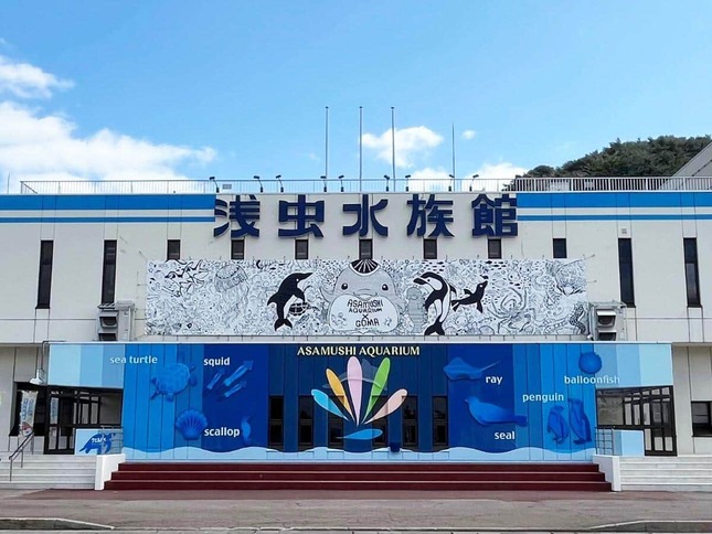 写真提供：青森県営 浅虫水族館
