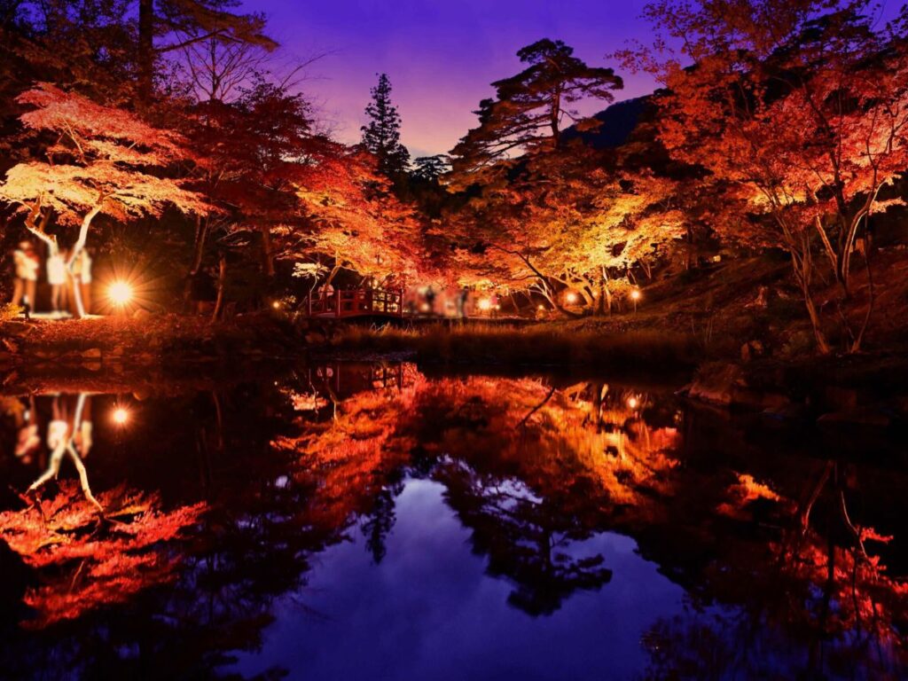 新潟県内の『美しすぎる紅葉ライトアップ5選』をご紹介！紅葉スポット巡りで秋の夜長を満喫しよう♪｜2025年版 - 地域情報サイト「ガタチラ」