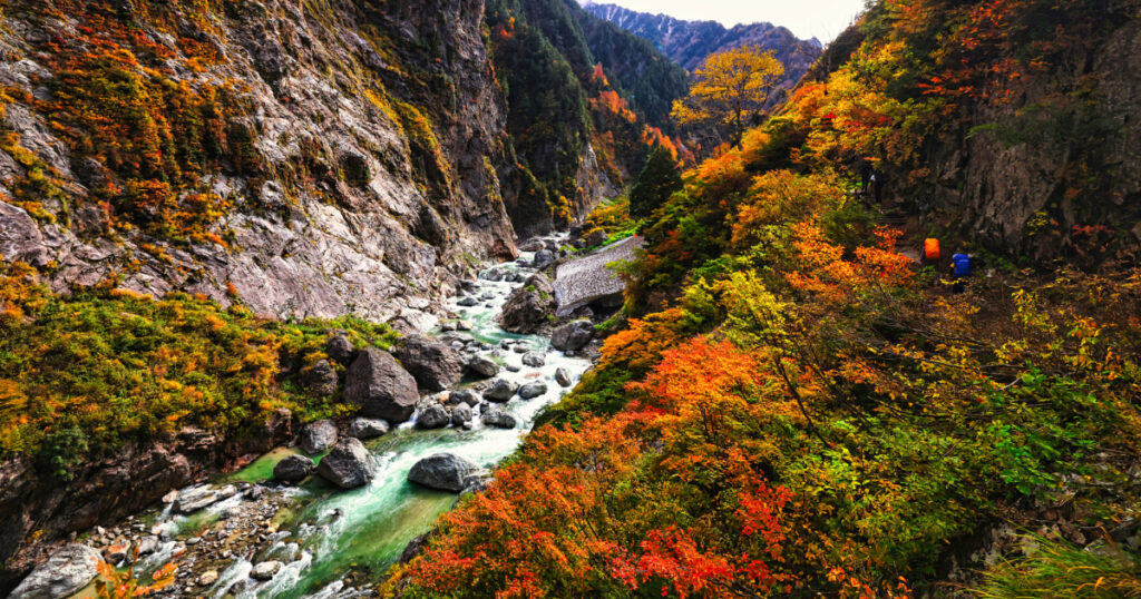 じつは、富山の「黒部川は、佐渡の先まで続いている」って、知ってた…？　さらに、八ヶ岳の水も、南海トラフに流れ込んでいる事実。「海底谷」の、ものすごいスケール（藤岡 換太郎） | ブルーバックス | 講談社