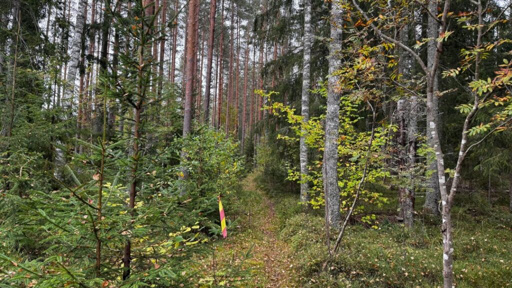 スウェーデンで初めて。これが世界で最高の国だと言えますか？