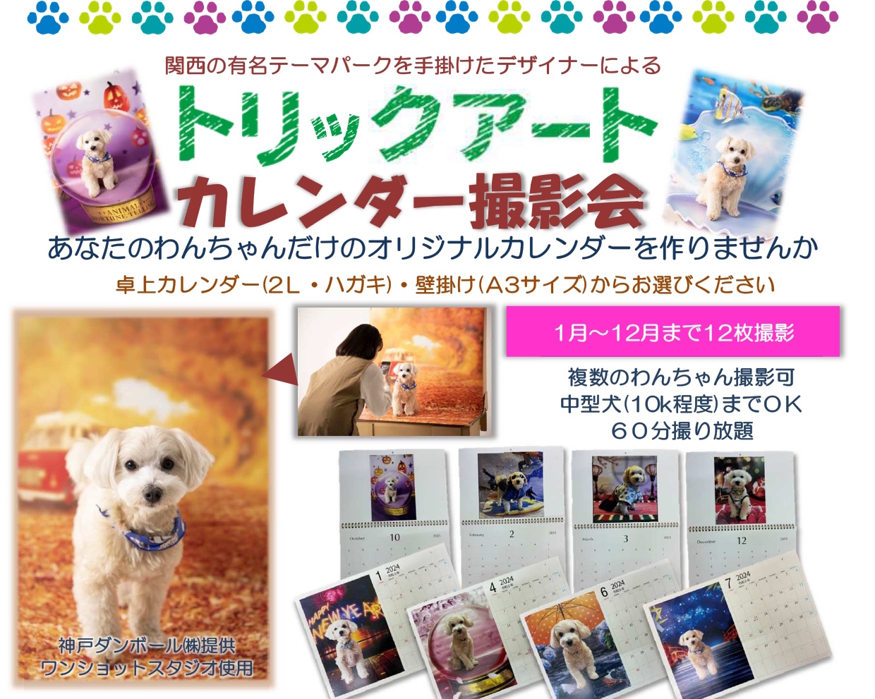 【神戸市東灘区】ワンちゃんの“映え写真”がカレンダーに!?プロの仕掛けで魅力倍増「カレンダー撮影会」開催されます!