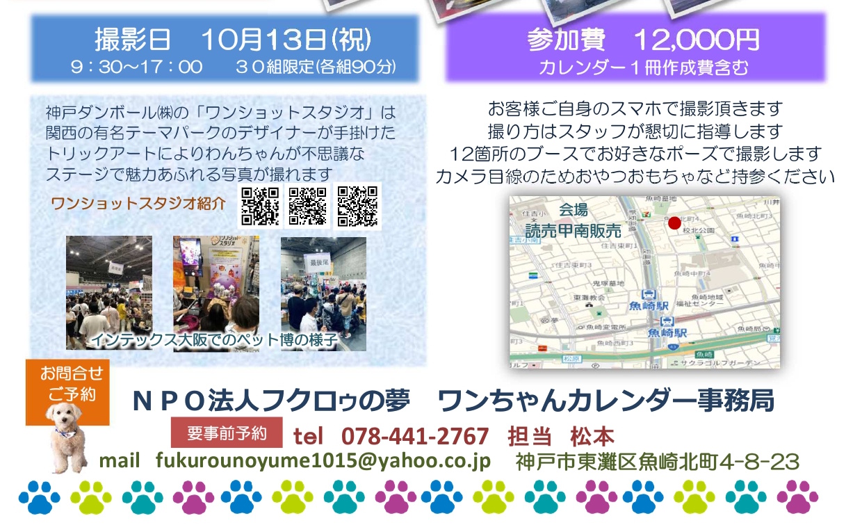 【神戸市東灘区】ワンちゃんの“映え写真”がカレンダーに!?プロの仕掛けで魅力倍増「カレンダー撮影会」開催されます!