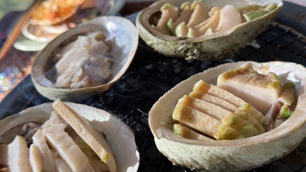 Abalone.jpeg