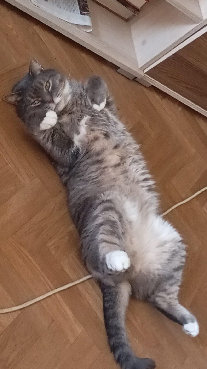 この美しさにどんな名前を付けますか？