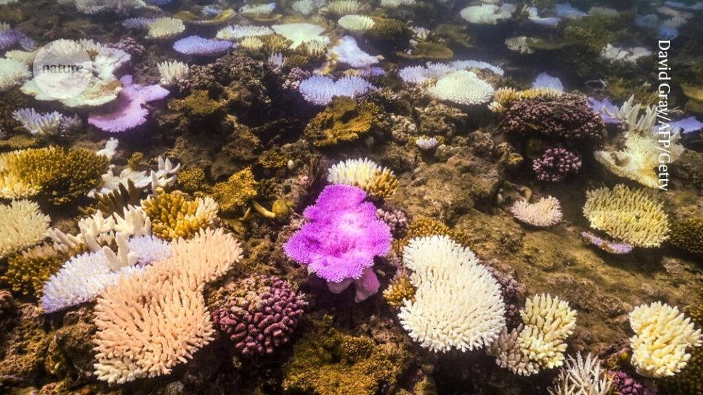 私たちの地球は最初の気候転換点に達しています