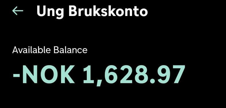 DNB口座のマイナス残高
