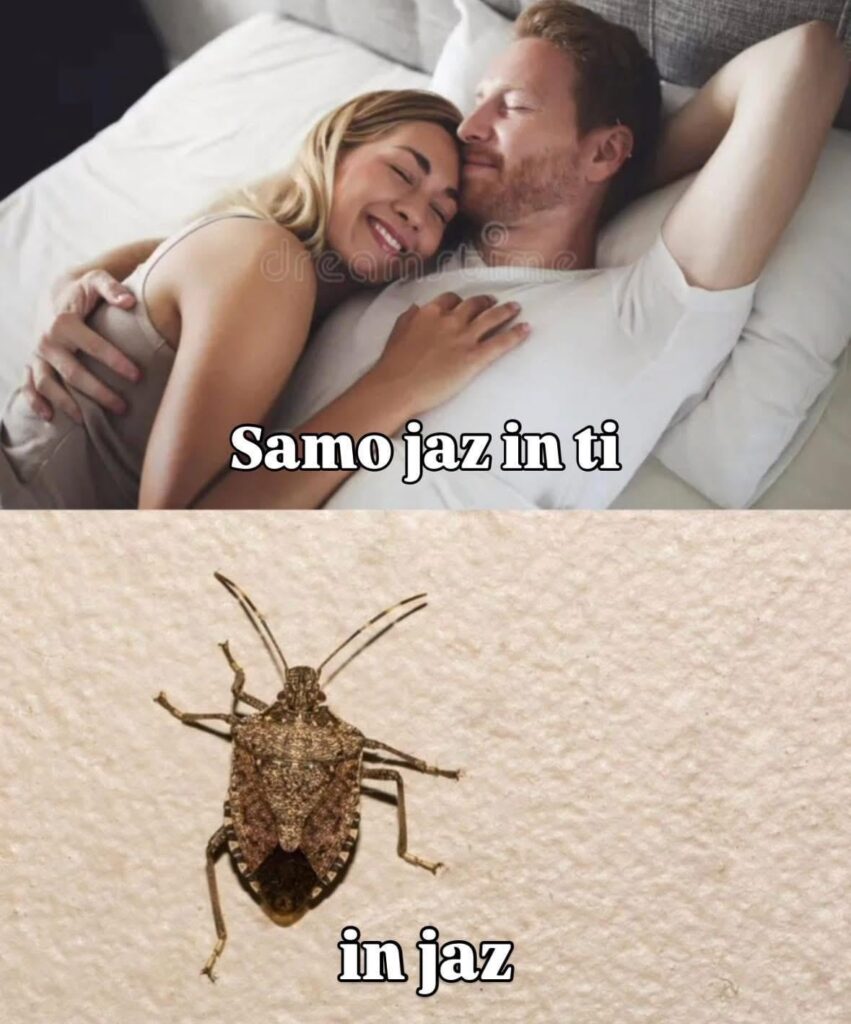 季節のジャズ